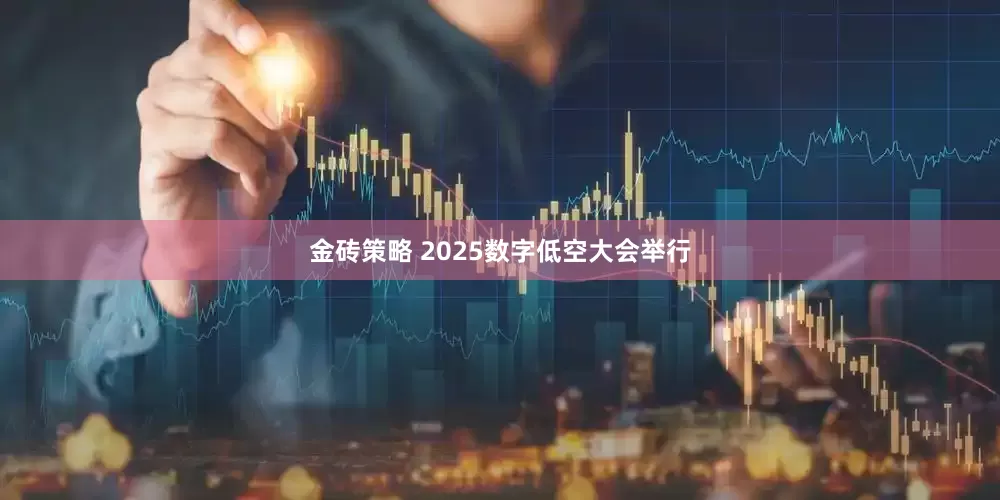 金砖策略 2025数字低空大会举行