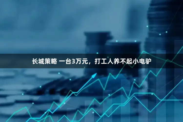 长城策略 一台3万元，打工人养不起小电驴