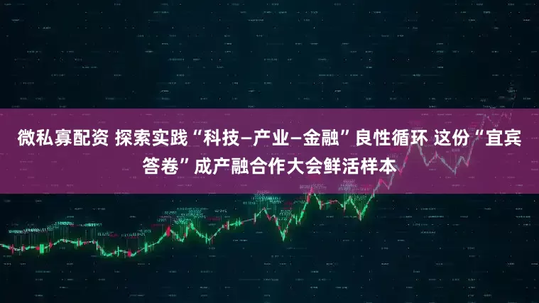 微私寡配资 探索实践“科技—产业—金融”良性循环 这份“宜宾答卷”成产融合作大会鲜活样本