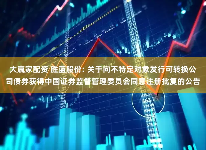 大赢家配资 胜蓝股份: 关于向不特定对象发行可转换公司债券获得中国证券监督管理委员会同意注册批复的公告