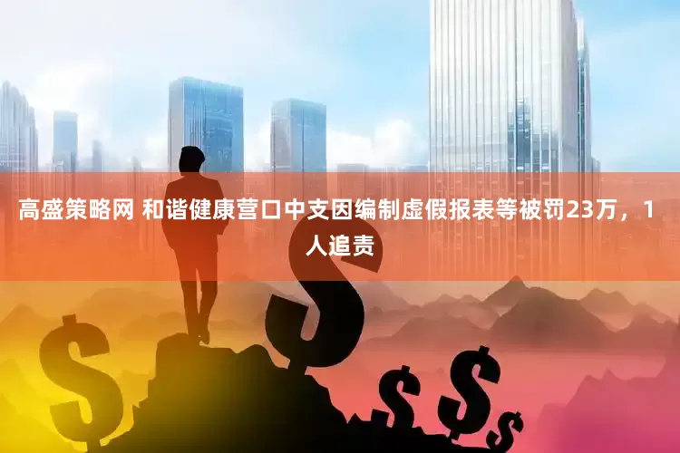 高盛策略网 和谐健康营口中支因编制虚假报表等被罚23万，1 人追责